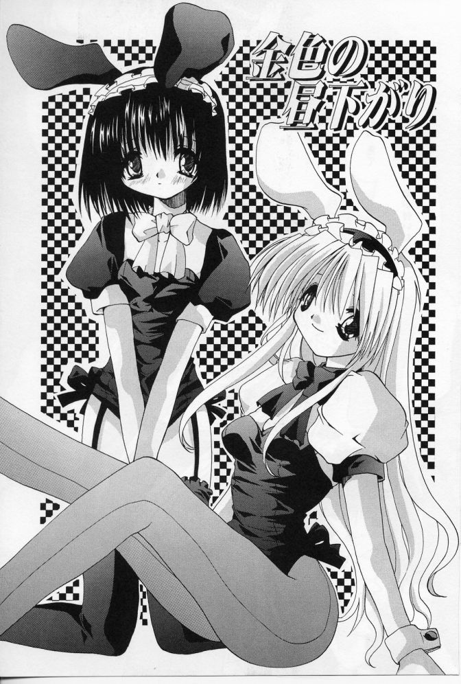 【エロ漫画】ショタを誘惑しちゃううさ耳お姉さんたち…騎乗位やバックで生ハメ中出しイチャラブセックスで絶頂アクメ堕ちしちゃう【しかげなぎ：金色の昼下がり】